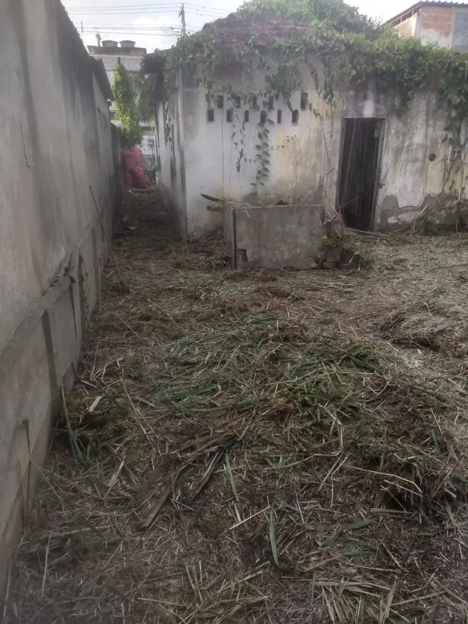 Vendo lote com casa antiga em Guadalupe  - Foto 2