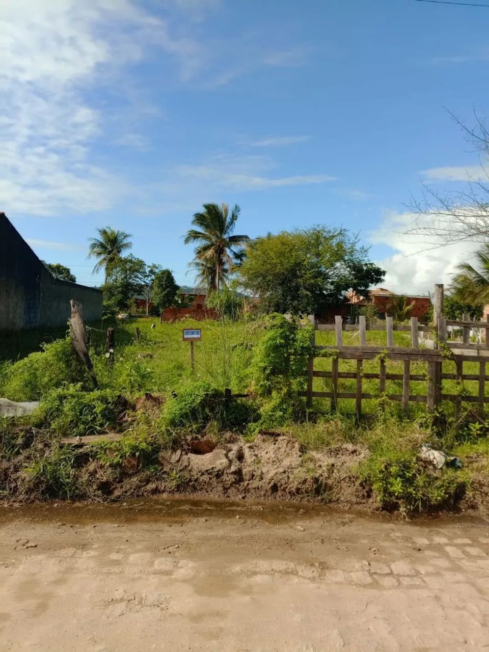 Terreno grande  - Foto 2