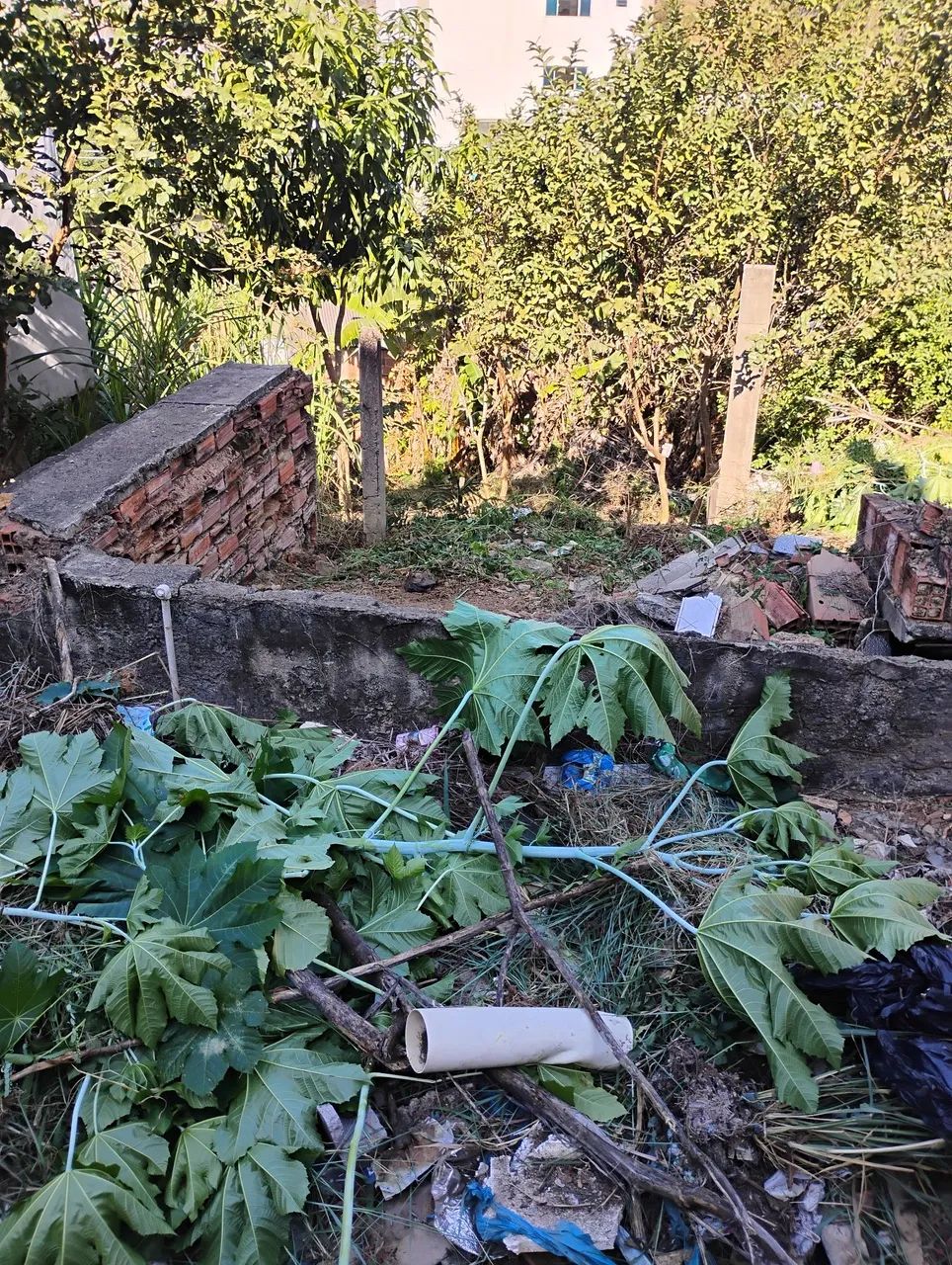 Venda  - Foto 3