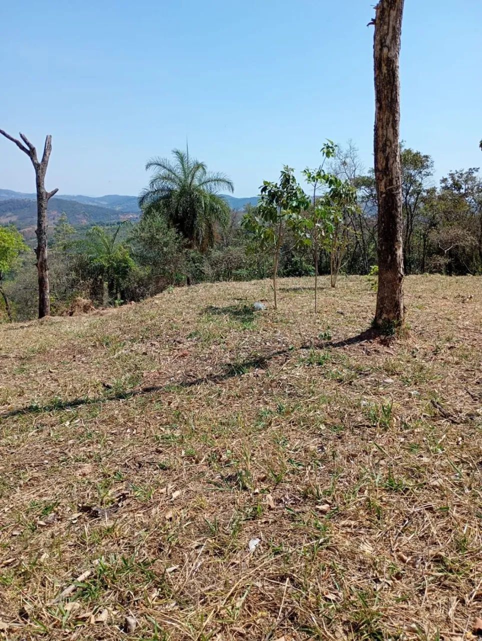 Terreno em azurita mateus leme  - Foto 5
