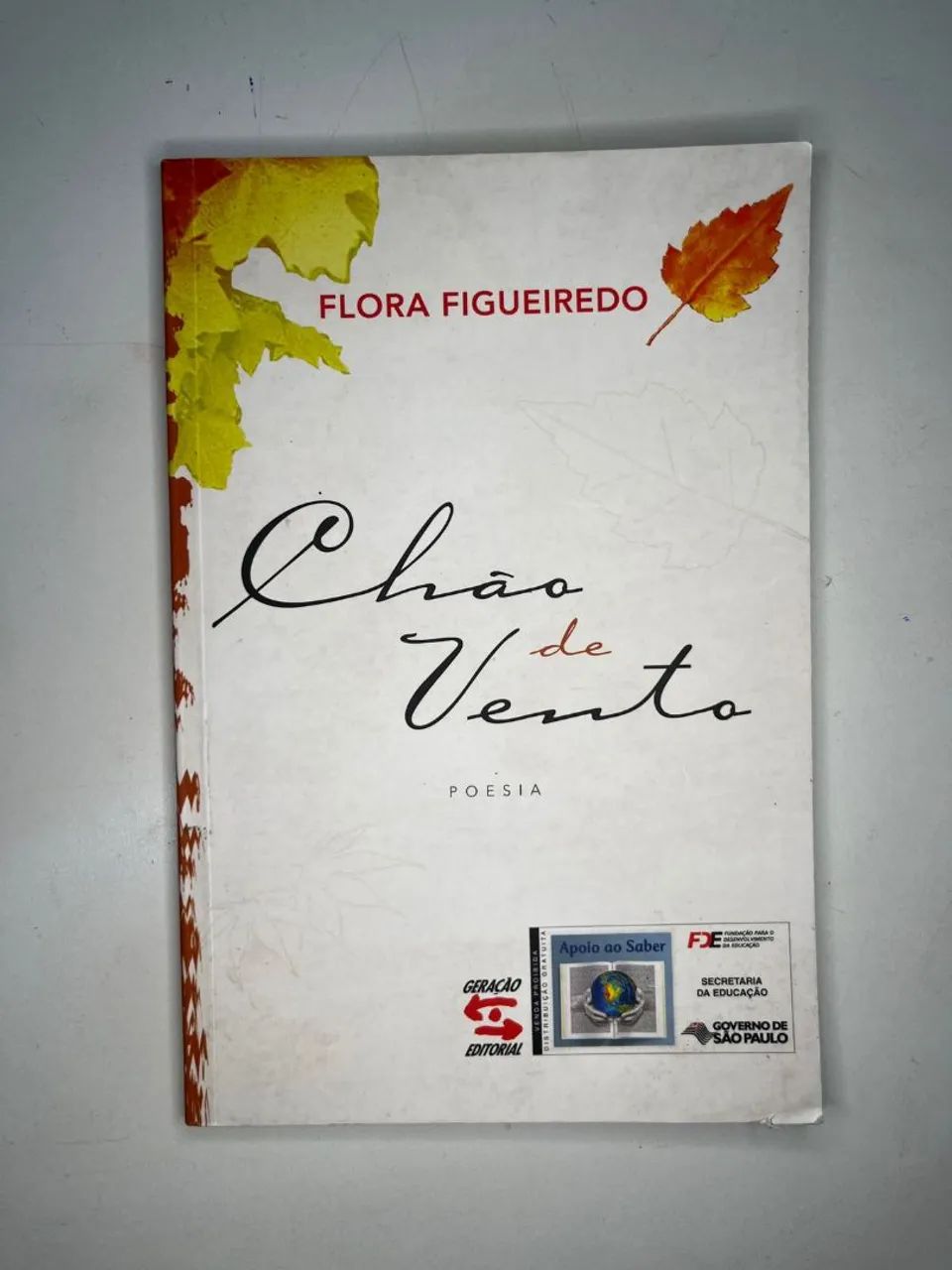 Livro Chão de Vento