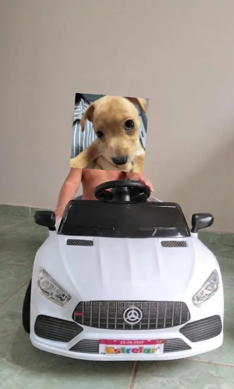 Carrinho Mercedes