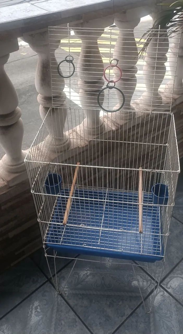 Gaiola Pássaros  - Foto 2