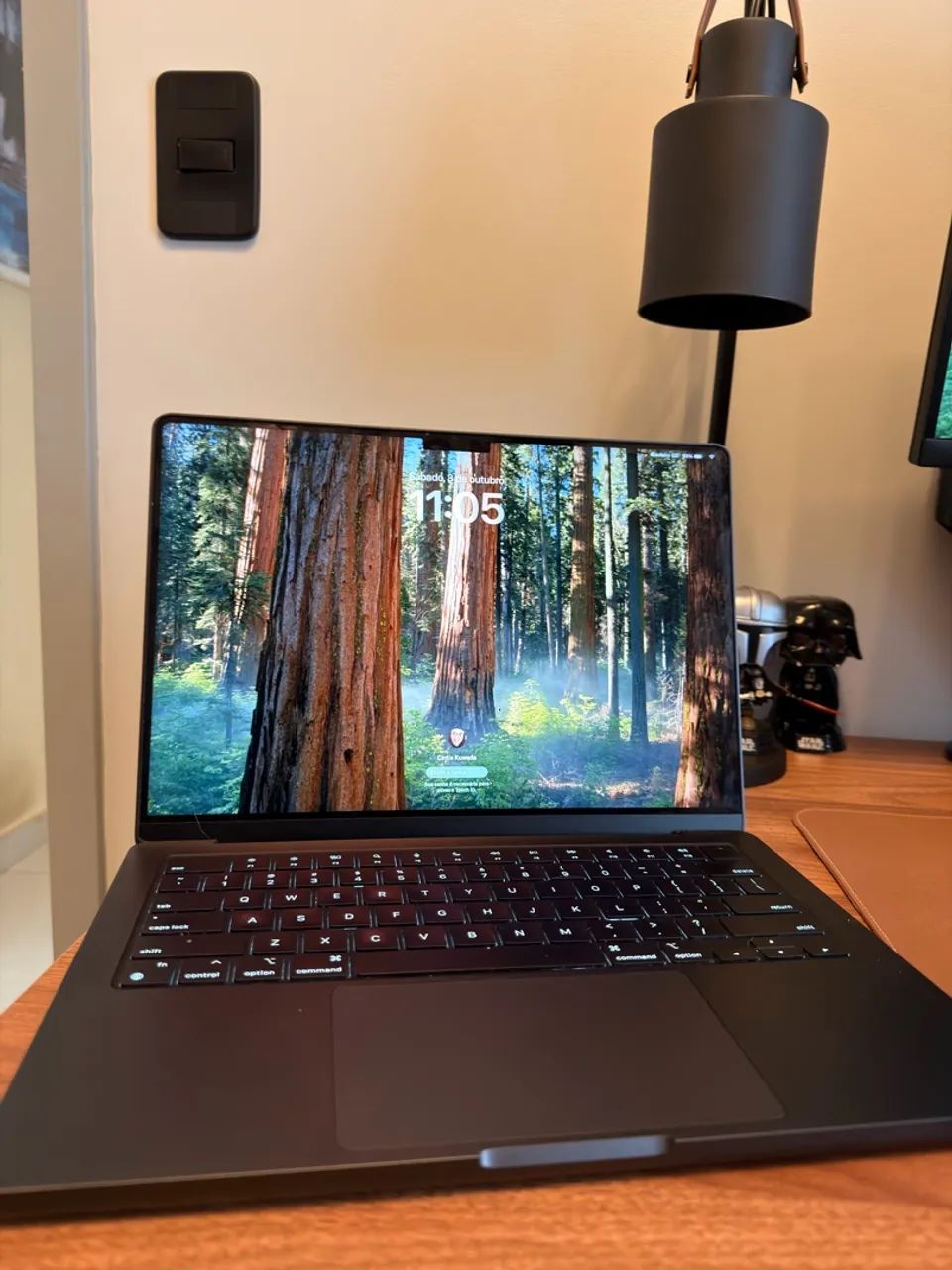 Macbook PRO M3 PRO - 14 polegadas - 18Gb - 512 de armazenamento