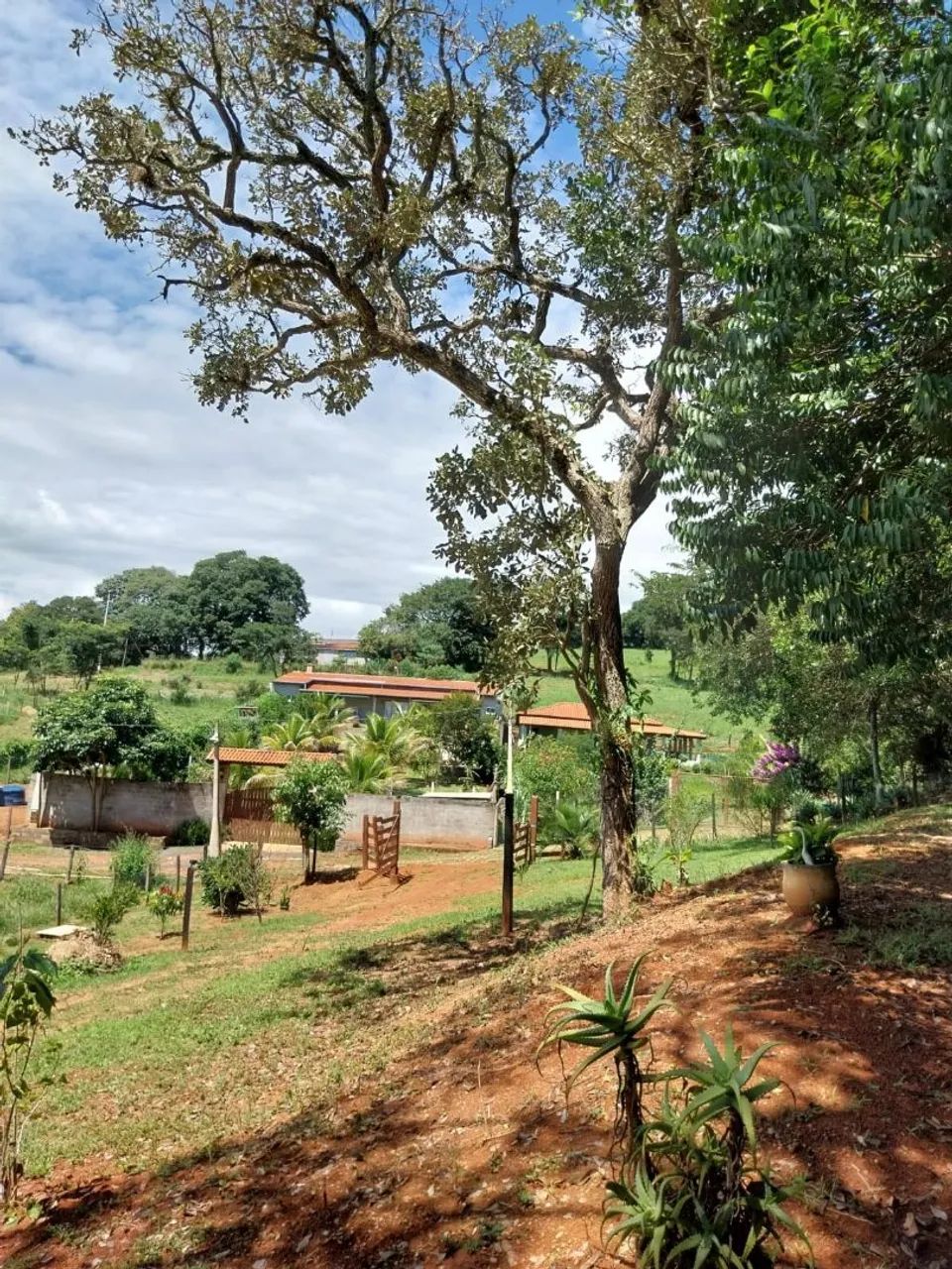 Vende -se chácara com chalé. - Foto 5