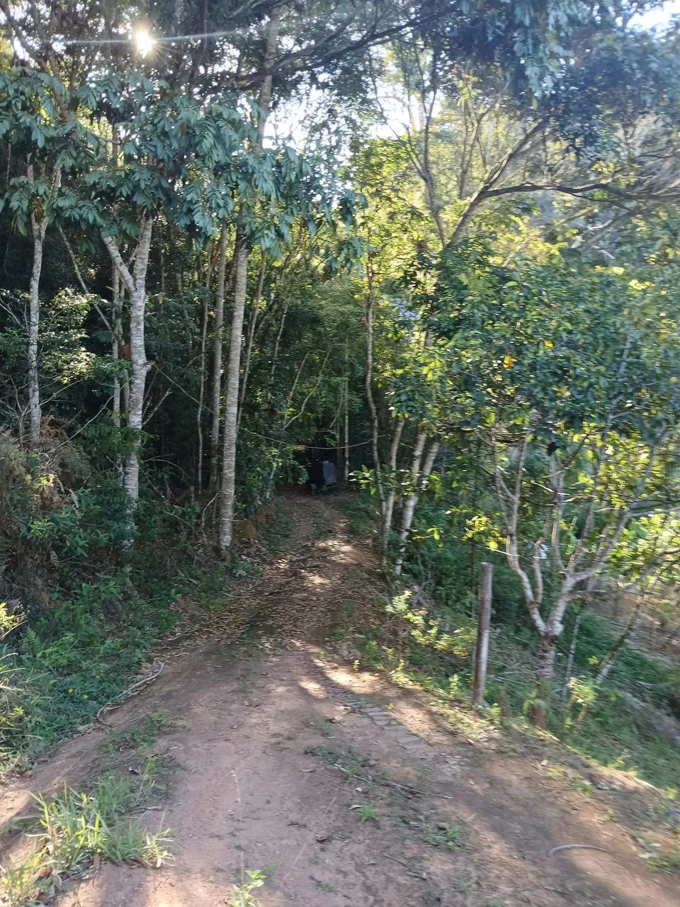 Chácara  - Foto 2