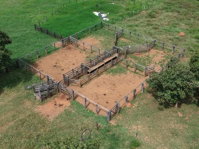 Fazenda para Pecuária em Unaí -Mg - Foto 5