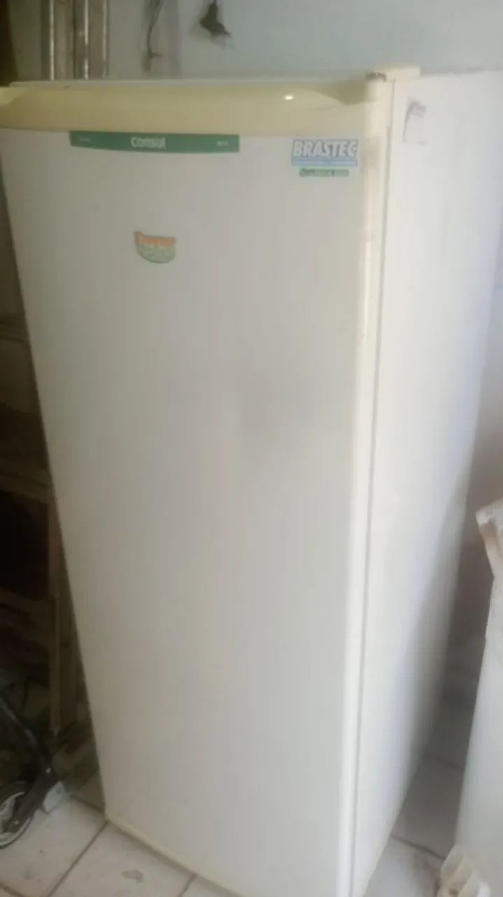 Freezer vertical 