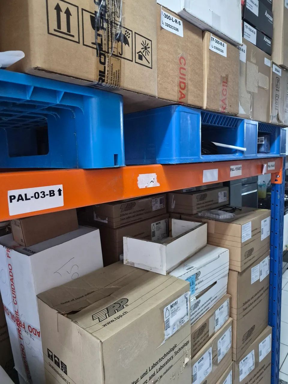 Porta Pallets - Foto 2