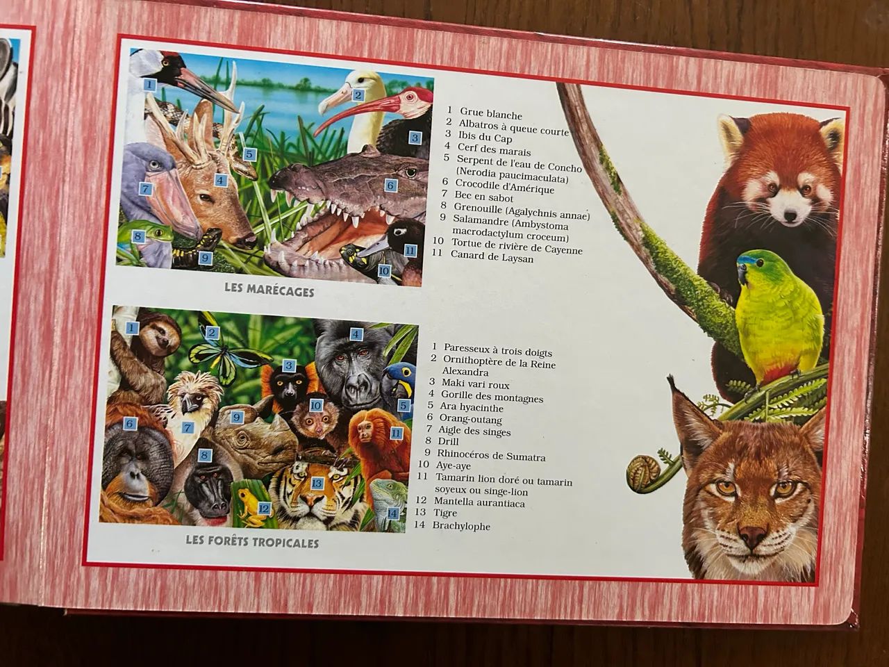 Livro quebra-cabeça em francês  - Foto 3