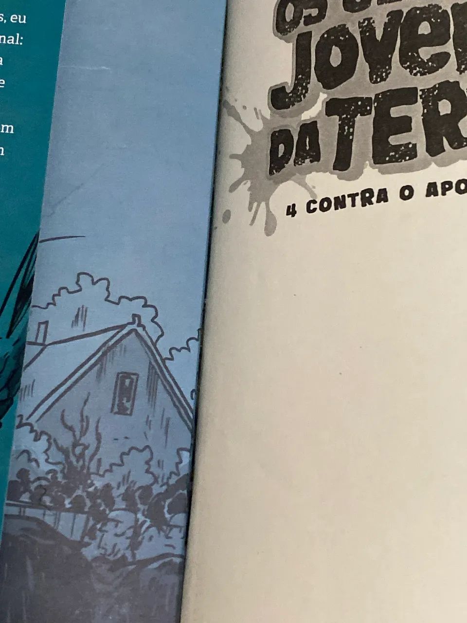 Os últimos jovens da Terra(Livro) - Foto 2