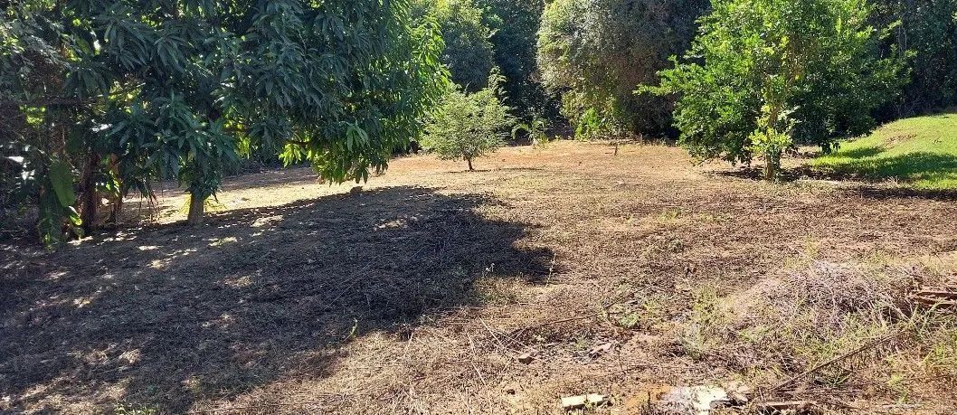 Chácara 20.000 escriturada - Foto 3