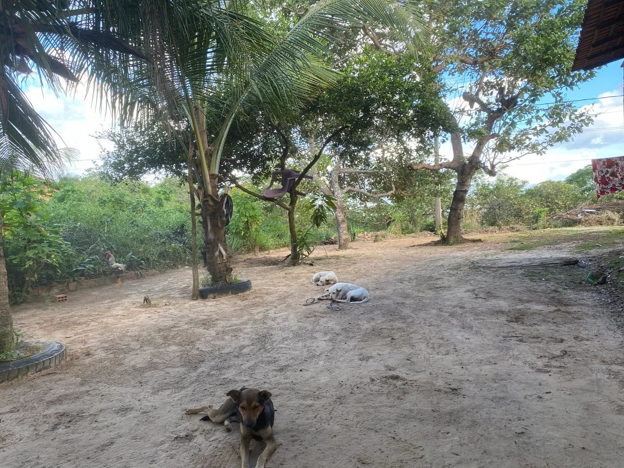 Vendo casa no Maracuja  - Foto 4
