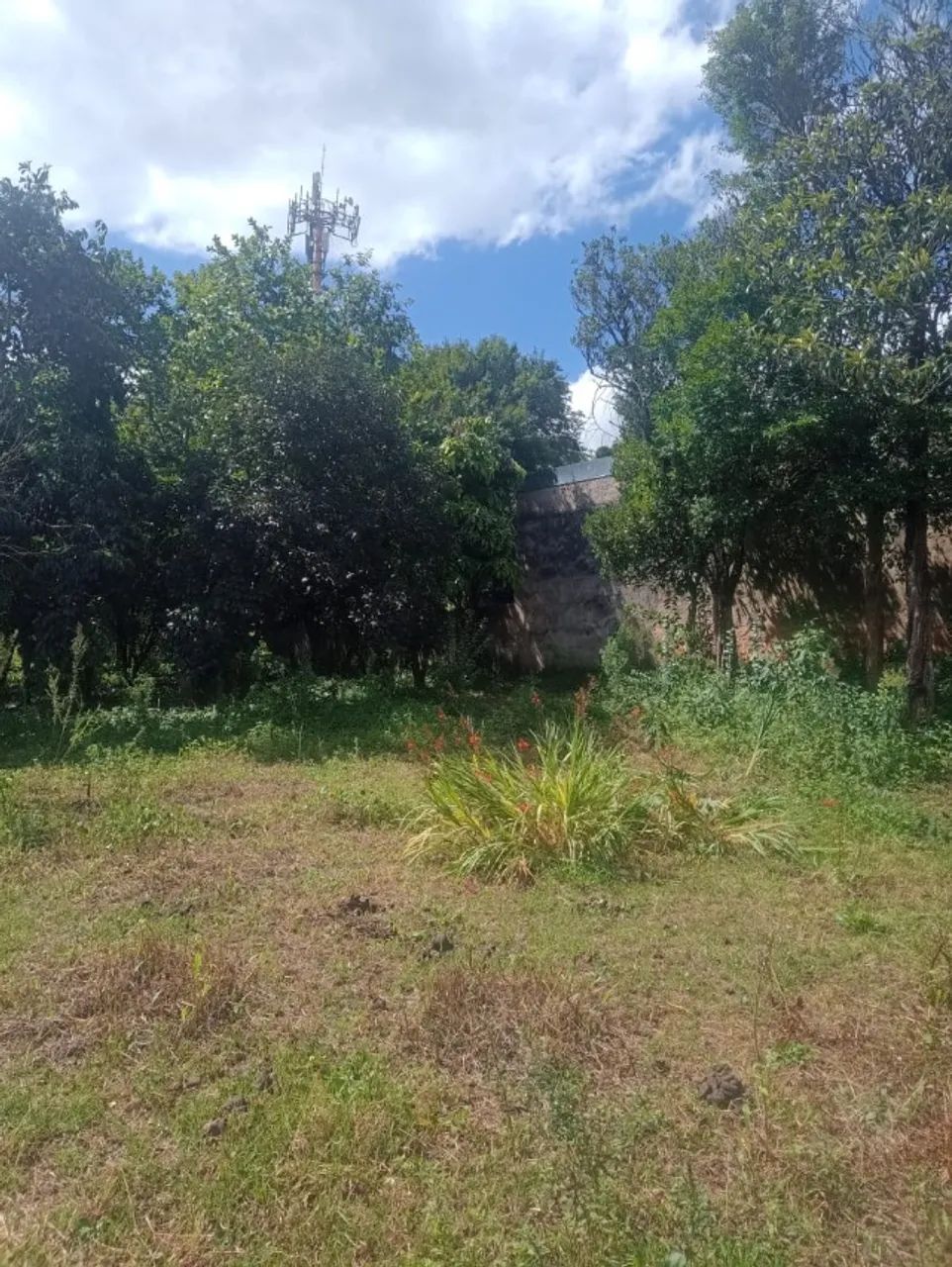 ÁREA  2.340  M2  NO  ABRANCHES - Foto 5
