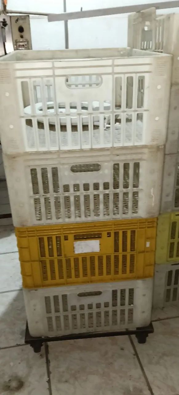 Caixa de plástico 56 por 76 - Foto 2
