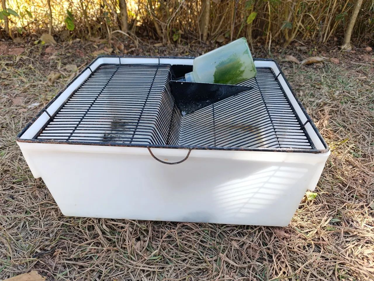 Biotério para camundongos 