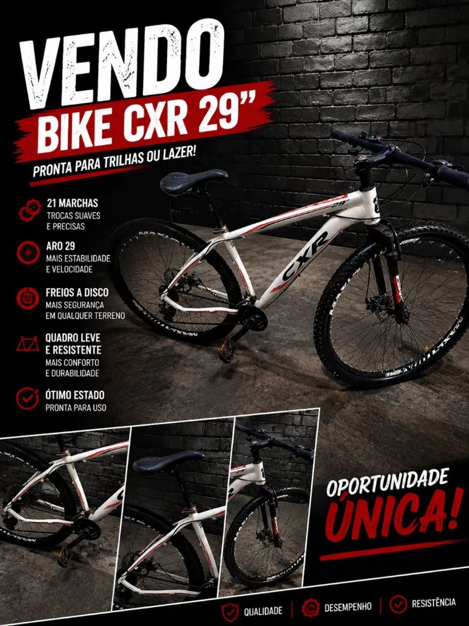 BICICLETA ARO 29