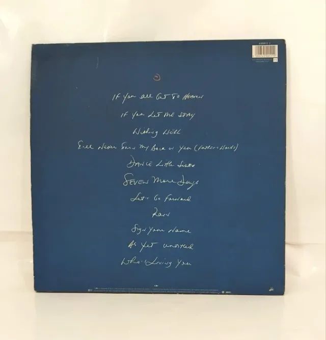LP VINIL  -TERENCE TRENT D ARBY  THE HARDLINEACCORDING  TO- CBS RECORDS -  11 MUSICAS - Foto 2