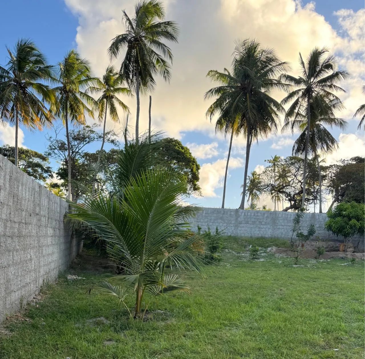  Vende-se um termo em Lagoa Redonda  - Foto 5