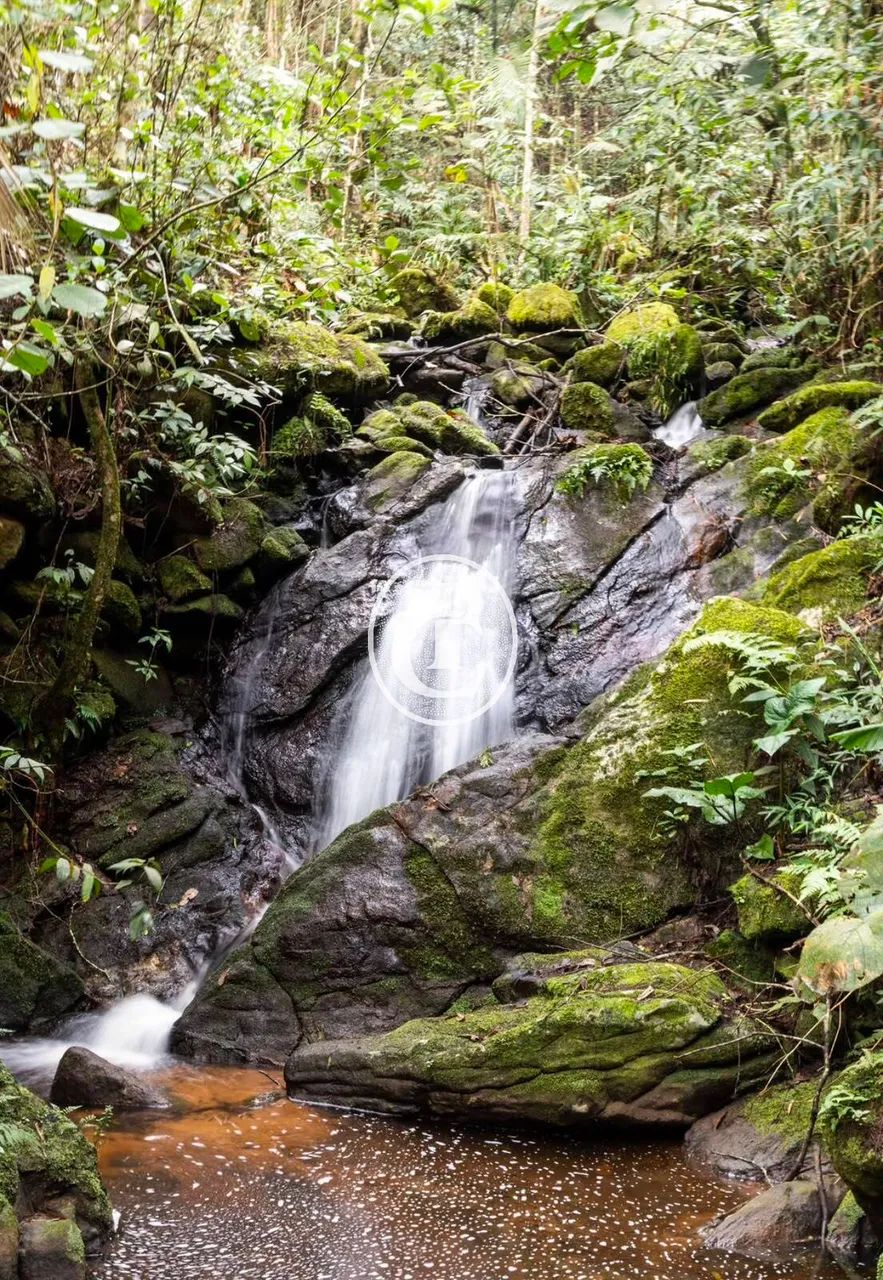Chácara com cachoeira!!!