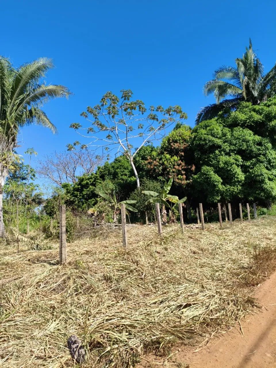 Lote de esquina  - Foto 5