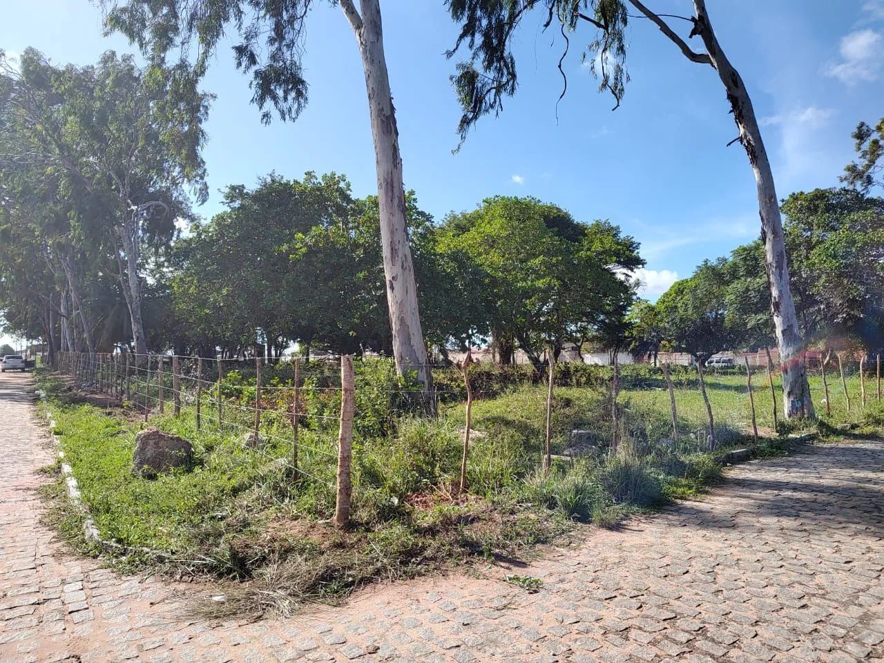 Terreno no cidade das Rosas - Foto 4