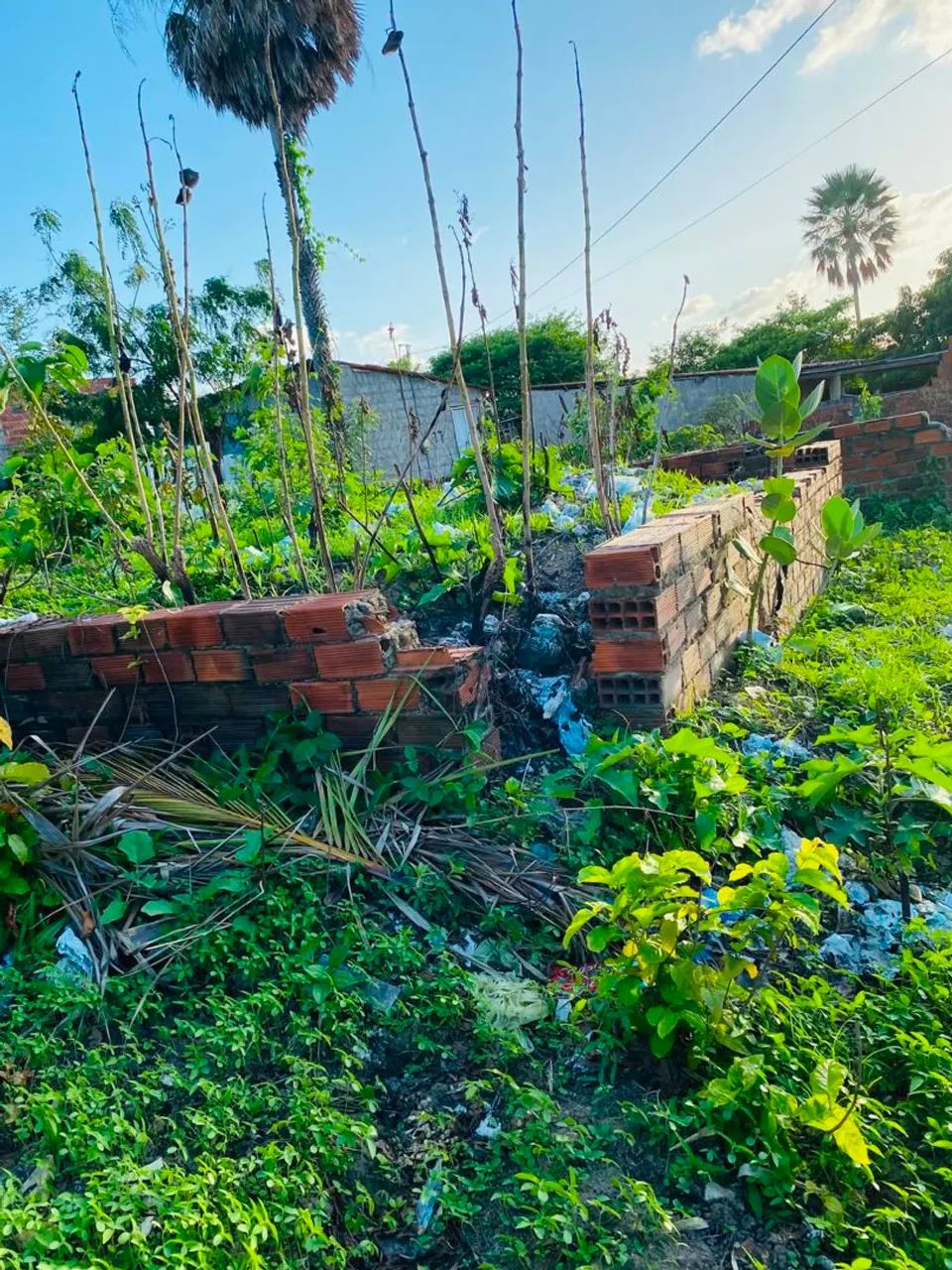VENDO UM TERRENO NA CAUCAIA  - Foto 2