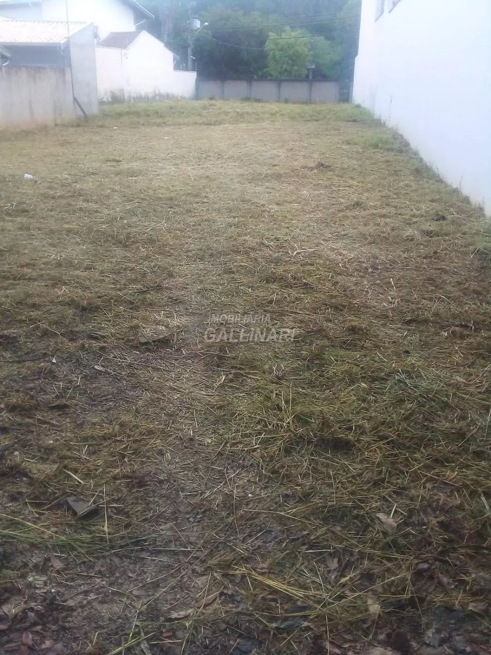 terreno - Jardim Chapadão - Campinas - Foto 3
