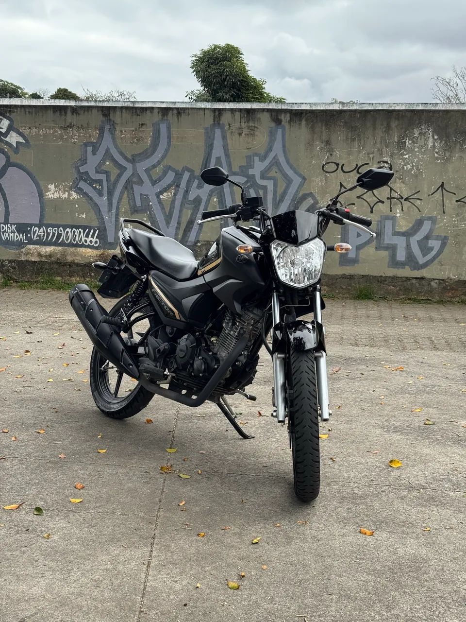 Factor 150cc 2024 - Foto 3