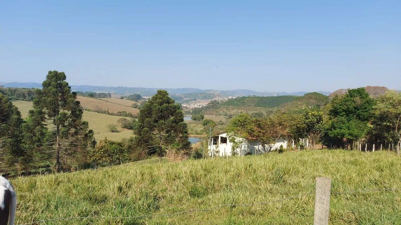 Fazenda Grotão a venda - Foto 2