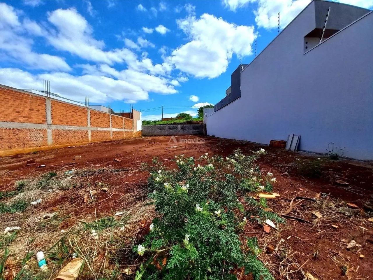 Lote/Terreno - Americana - Foto 4