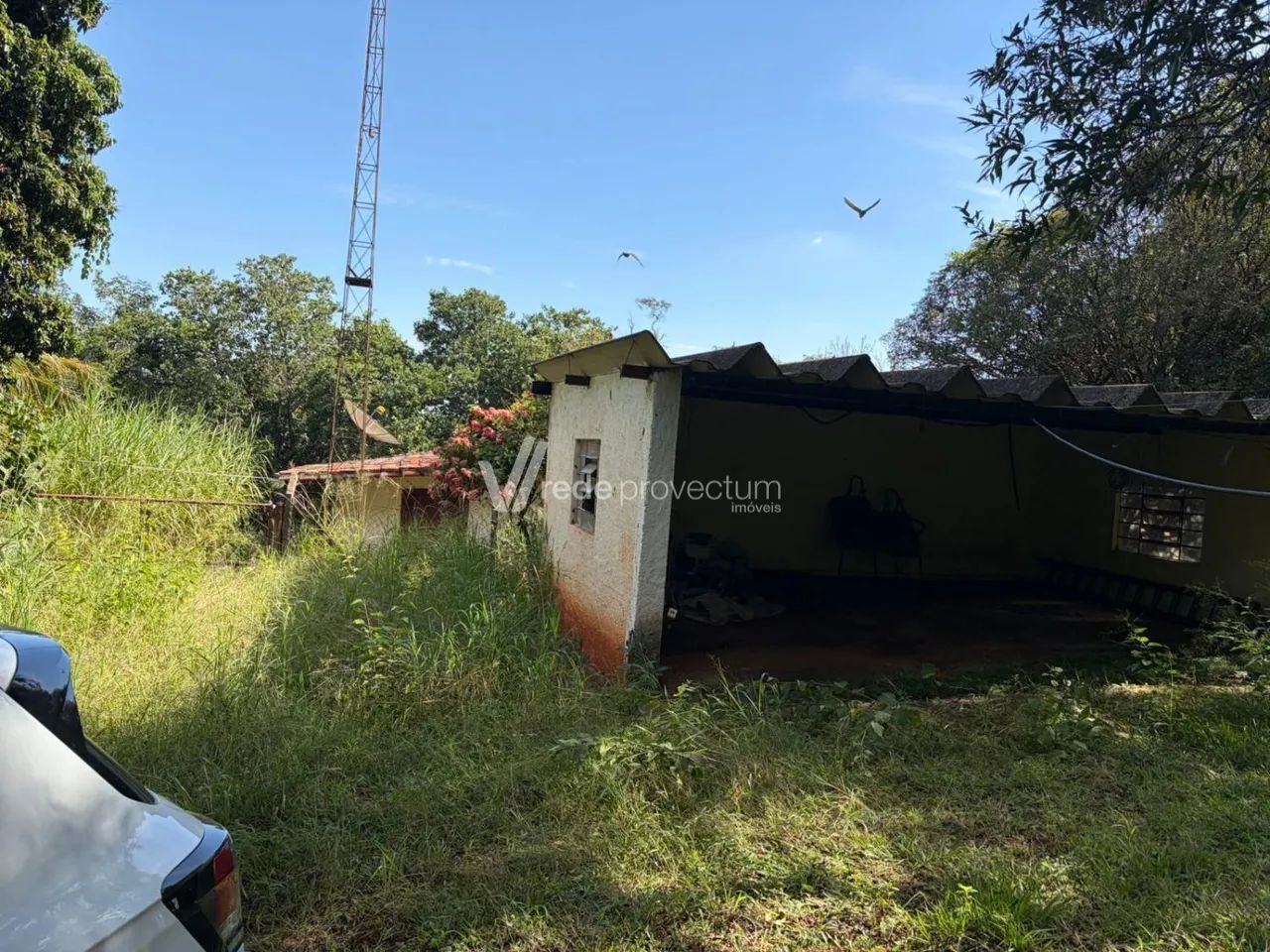 área - São Domingos - Paulínia - Foto 5