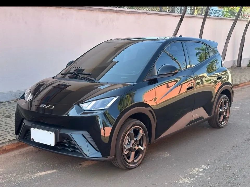 BYD Dolphin Mini (Elétrico) 2024 - Foto 2