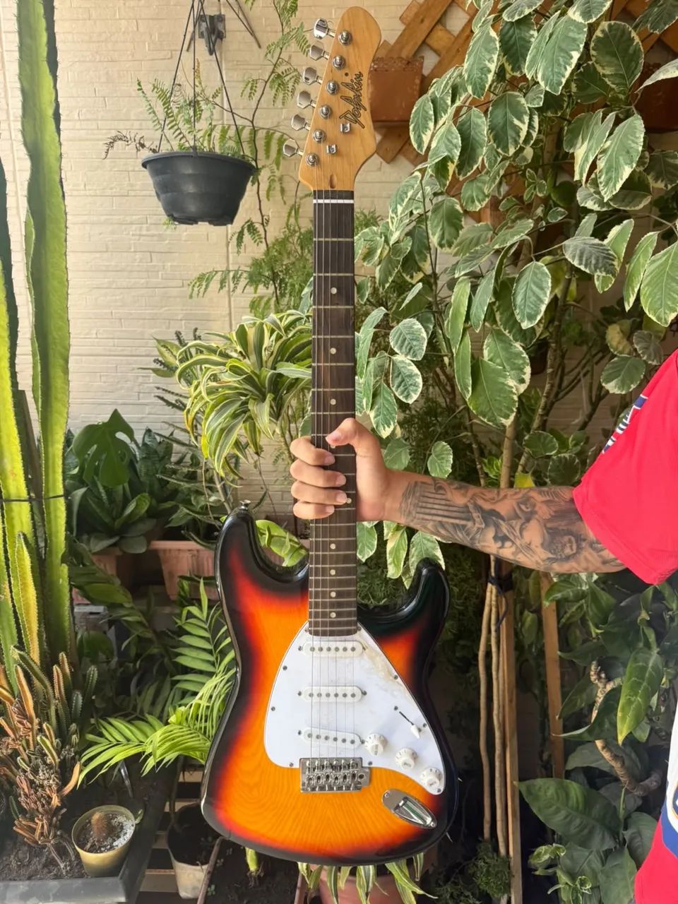 Guitarra Dolphin Zerada - Foto 4