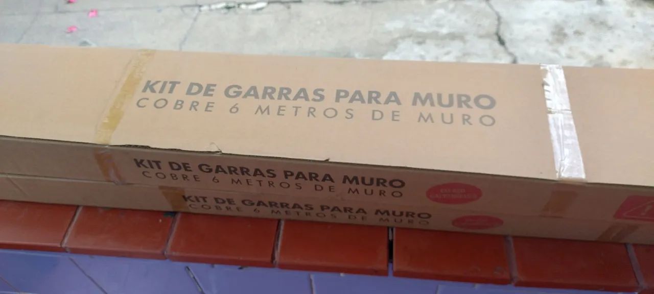 Garra de muro  - Foto 4