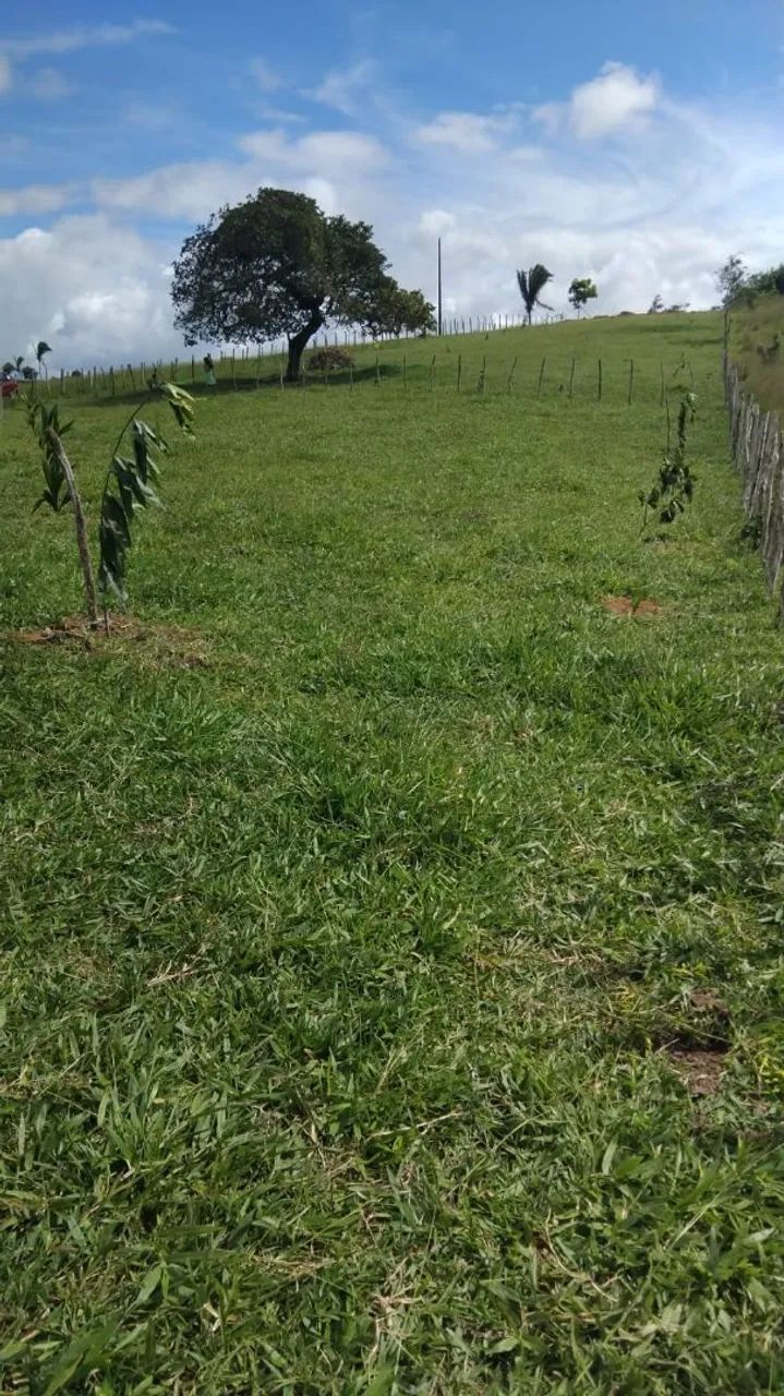 Uma tarefa e meia de terra
