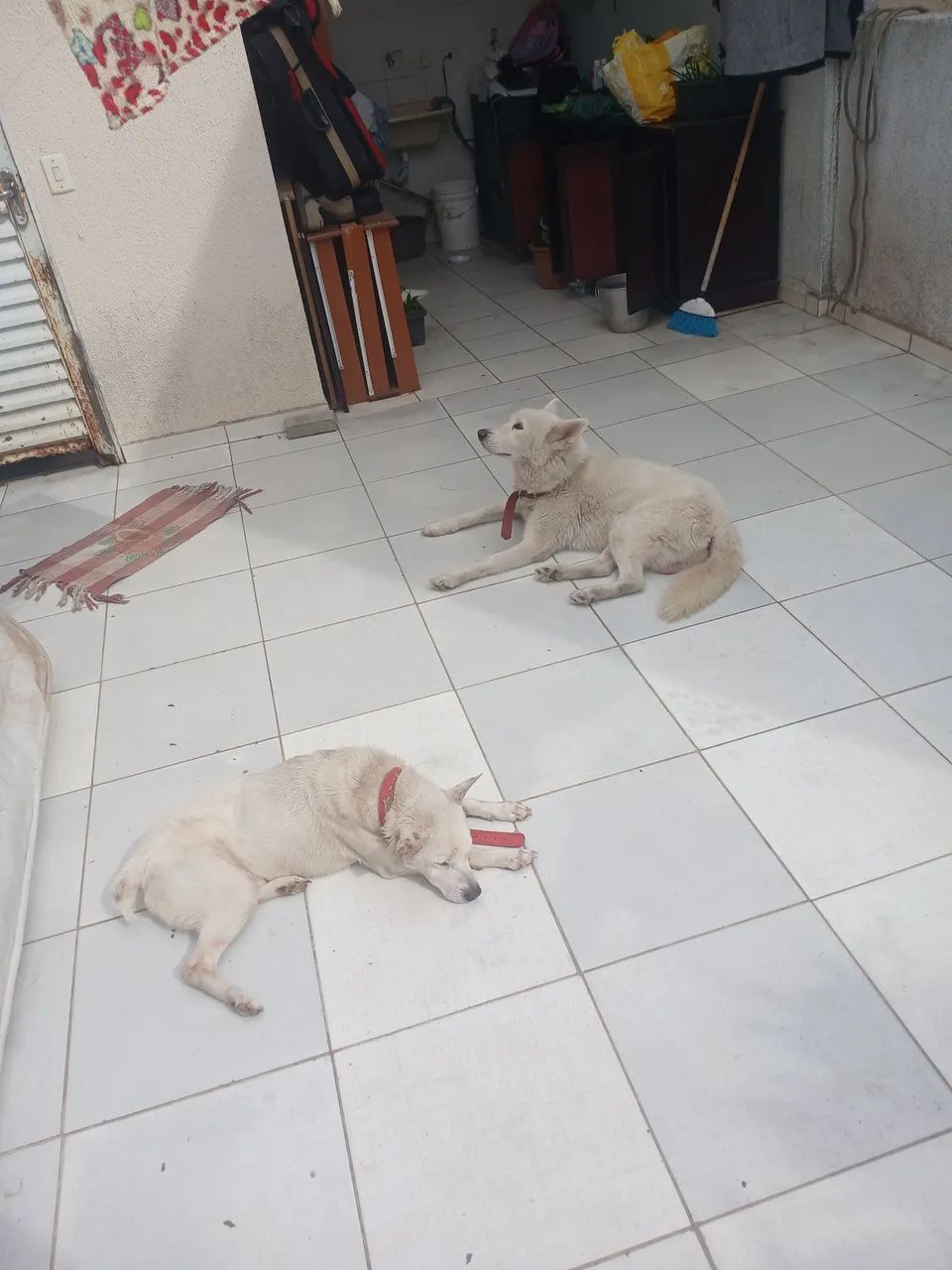 Doando  - Foto 3