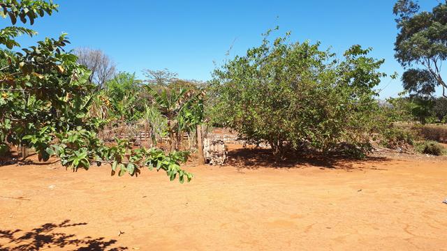 Excelente Chácara 10.000m2 - Rua 00 - Lago Oeste - Foto 20