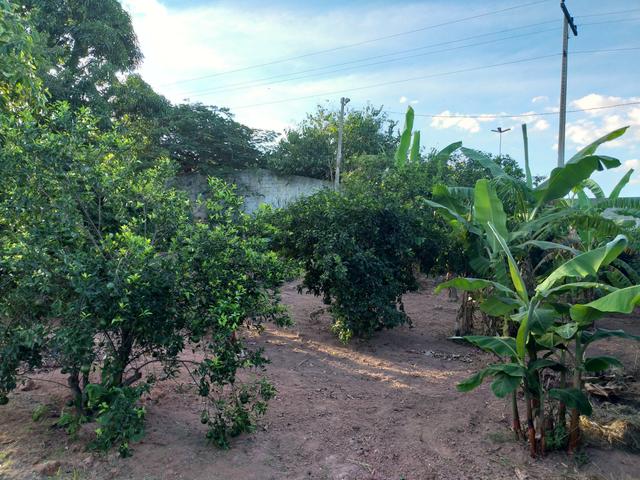 Chácara próximo ao Cherokee - Foto 17