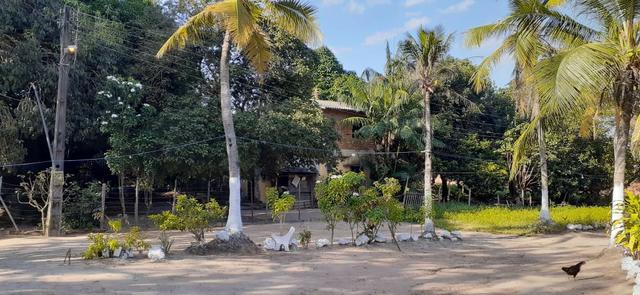 Belo Sítio em São José de Ribamar próximo ao Camino - Foto 13
