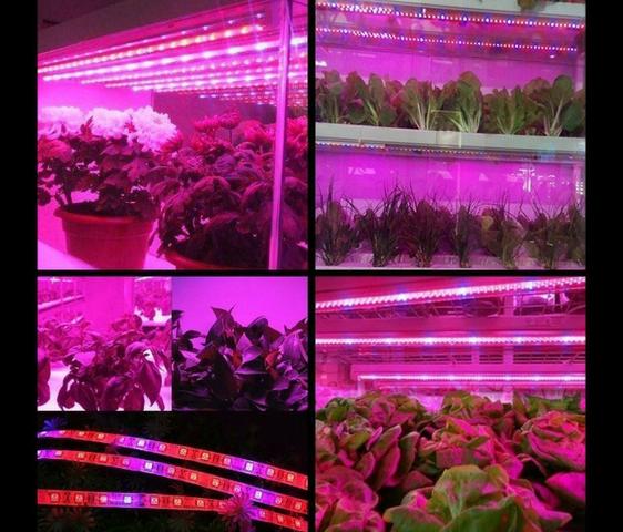COD-CP325 1 Metro Fita Led Full Spectrum Indoor Grow 7red 1blue Cultivo Aquario Automação