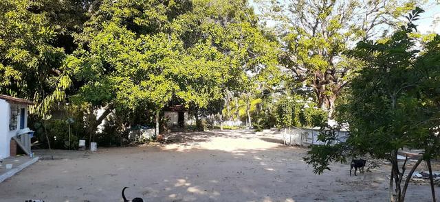 Belo Sítio em São José de Ribamar próximo ao Camino - Foto 3