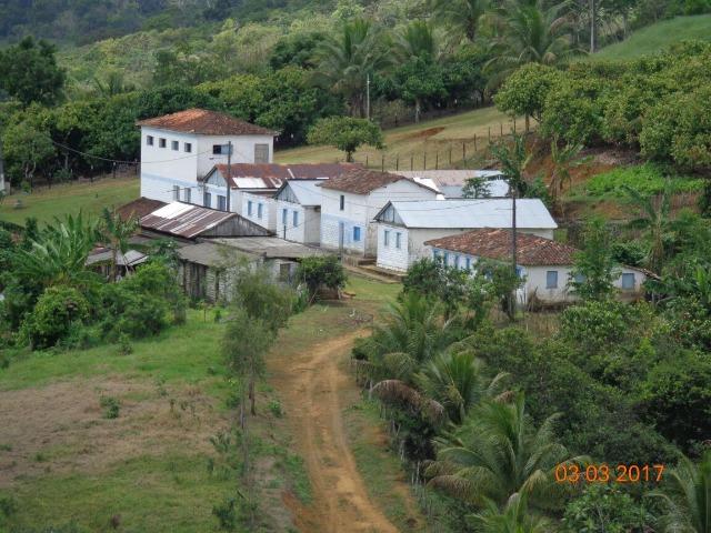 Vende fazenda de Cacau com 278 Ha - Camamu - BA