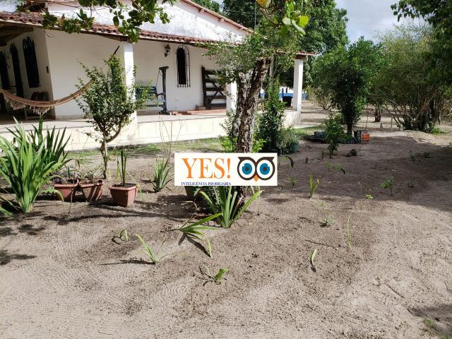 Linda Fazenda no Distrito de Pau Seco - Humildes - Área de 95.832 m² - Foto 2