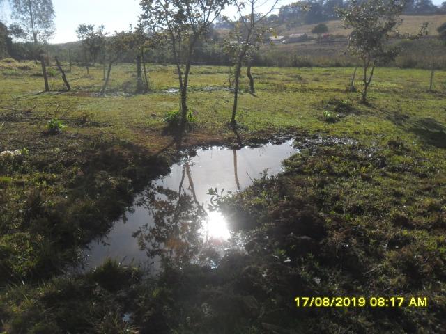 174B/ Belo haras de 12 ha pertinho da cidade de Entre Rios de Minas - Foto 7