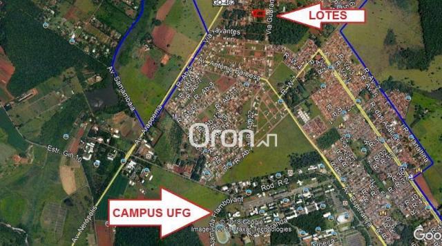 Terreno à venda, 960 m² por R$ 180.000,00 - Condomínio Shangry-Lá - Goiânia/GO - Foto 5