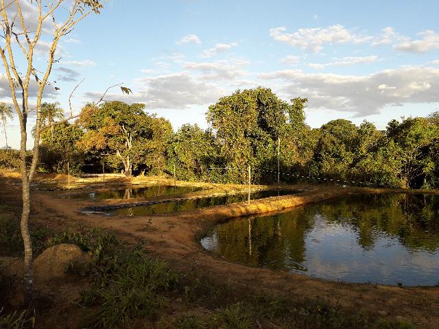 Fazenda à venda, por R$ 900.000.00 - Zona Rural - Luziânia/GO - Foto 6
