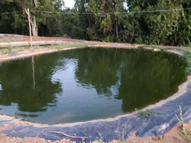 Fazenda à venda, por R$ 900.000.00 - Zona Rural - Luziânia/GO - Foto 20