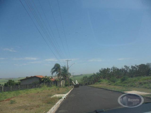 Chácara com 2 dormitórios para alugar, 500 m² por R$ 2.000/mês - Zona Rural - Ribeirão Pre - Foto 3