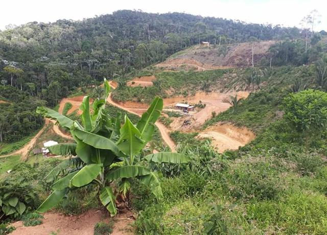 Chacara1850m2 melhor condomínio de chacaras de Sta Teresa - Foto 6